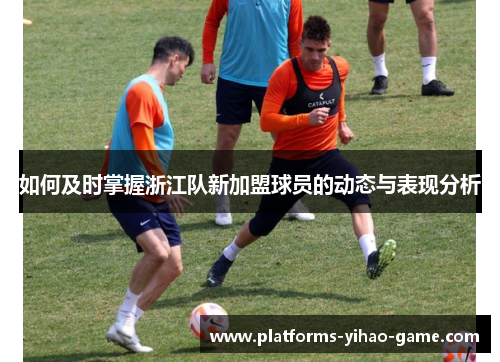 如何及时掌握浙江队新加盟球员的动态与表现分析
