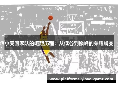 小麦国家队的崛起历程：从低谷到巅峰的荣耀蜕变