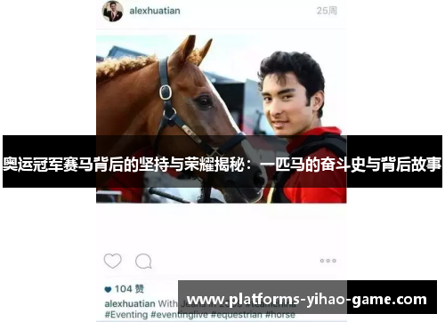 奥运冠军赛马背后的坚持与荣耀揭秘：一匹马的奋斗史与背后故事