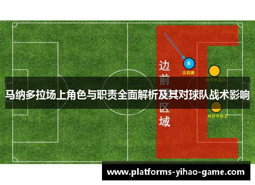 马纳多拉场上角色与职责全面解析及其对球队战术影响