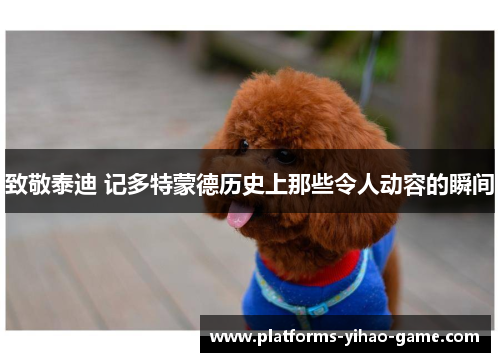致敬泰迪 记多特蒙德历史上那些令人动容的瞬间 致敬泰迪 记多特蒙德历史上那些令人动容的瞬间