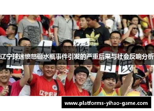 辽宁球迷愤怒砸水瓶事件引发的严重后果与社会反响分析