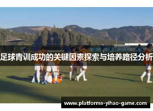 足球青训成功的关键因素探索与培养路径分析